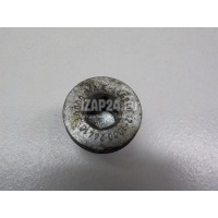 Натяжитель цепи Hyundai-Kia Mohave 2009 244103A000