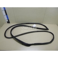 Уплотнитель двери Toyota RAV 4 (2000 - 2005) 6786142041