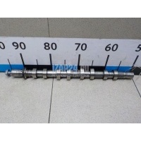 Распредвал выпускной Renault Clio II/Symbol (1998 - 2008) 8200100528