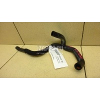 Трубка картерных газов Renault Twingo (1993 - 2007) 8200393019