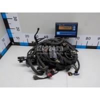 Проводка (коса) VAG Touareg (2002 - 2010) 022971610F