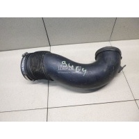 Патрубок воздушного фильтра BMW X5 E53 (2000 - 2007) 13717529249