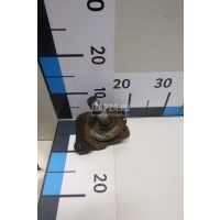 Цапфа (п.з.к.) Renault Laguna II (2001 - 2008) 7701477982