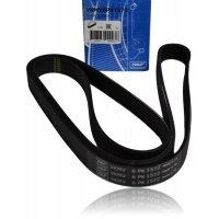 skf vkmv6pk1572 поликлиновой audi , chrysler , seat