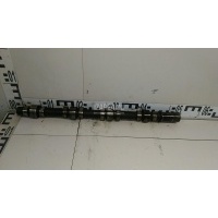 Распредвал впускной Chrysler Voyager/Caravan (RG/RS) (2000 - 2008) 5066847AB