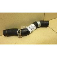 Патрубок радиатора Honda Civic 5D (2006 - 2012) 19501RSAG00
