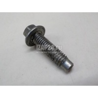 Болт Renault Laguna III (2008 - 2015) 7703002751