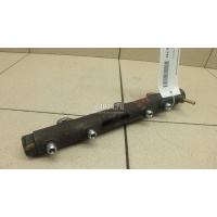 Рейка топливная (рампа) Ford Ranger (2006 - 2012) 1449265