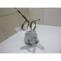 Замок двери задней левой Mazda Mazda 6 (GH) (2007 - 2013) GS1D73310A