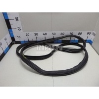 Уплотнитель (наружный) VAG Octavia (A4 1U-) (2000 - 2011) 1U6810957B