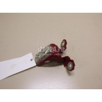 Петля двери Renault Megane III (2009 - 2016) 804804993R