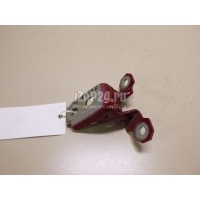 Петля двери Renault Megane III (2009 - 2016) 804804993R