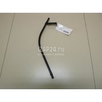 Трубка масляного щупа GM Astra H / Family (2004 - 2015) 55566674