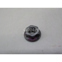 Гайка VAG Passat [B5] (1996 - 2000) N0150825