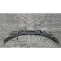 Накладка декоративная (дождевик) перед. Ford Galaxy 2000-2006 2003 1316286