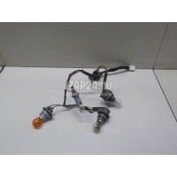 Проводка (коса) Hyundai-Kia i30 (2007 - 2012) 924302L010
