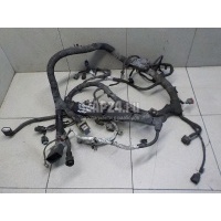 Проводка (коса) Ford Transit (2014 - ) 1850855