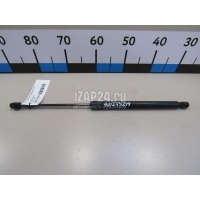 Амортизатор двери багажника VAG Q5 [8R] (2008 - 2017) 8R0827552A