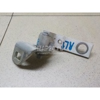 Петля двери задней левой нижняя Ford C-MAX (2010 - ) 1781669