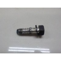 Болт Nissan FX/QX70 (S51) (2008 - 2017) 081208251E