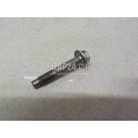 Болт клапанной крышки Renault Vel Satis (2002 - 2009) 7703002637