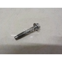 Болт клапанной крышки Renault Vel Satis (2002 - 2009) 7703002637