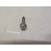 Болт клапанной крышки Renault Vel Satis (2002 - 2009) 7703002637