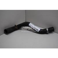 Патрубок радиатора Honda Civic 5D (2006 - 2012) 19502RSAG00