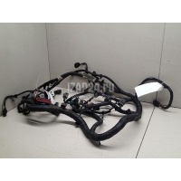 Проводка (коса) Ford C-MAX (2003 - 2010) 1674421