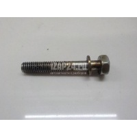 Болт Nissan Maxima (A33) (2000 - 2005) 0812064028
