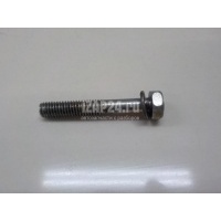 Болт Nissan Maxima (A33) (2000 - 2005) 0812064028