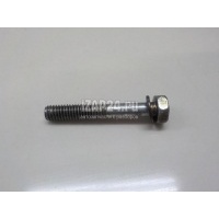 Болт Nissan Maxima (A33) (2000 - 2005) 0812064028