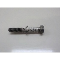 Болт Nissan Maxima (A33) (2000 - 2005) 0812064028