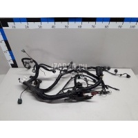 Проводка (коса) Nissan Note (E11) (2006 - 2013) 24011BC01A