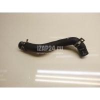 Патрубок Ford C-MAX (2003 - 2010) 1317039