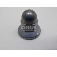Гайка Renault Laguna III (2008 - 2015) 7703032154