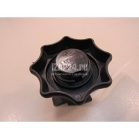 Болт крепления запасного колеса VAG Passat [B6] (2005 - 2010) 3C0803899