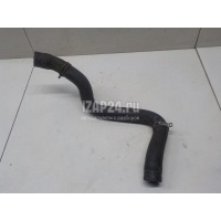Патрубок радиатора Ford Transit (2006 - 2013) 1371293