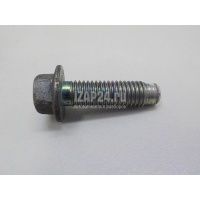 Болт Renault Laguna III (2008 - 2015) 7701065349
