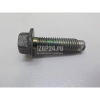 Болт Renault Laguna III (2008 - 2015) 7701065349
