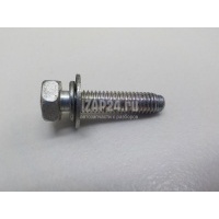 Болт Renault Laguna III (2008 - 2015) 7701065087