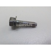 Болт Renault Laguna III (2008 - 2015) 7701065087