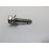 Болт Renault Laguna III (2008 - 2015) 7701065087