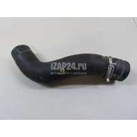 Шланг системы охлаждения Renault Scenic III (2009 - 2015) 215020002R