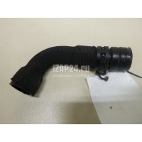 Шланг вентиляции картер. газов VAG Cordoba (2002 - 2008) 038103493AC