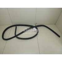 Уплотнитель двери Ford Kuga (2008 - 2012) 1761241
