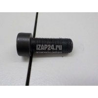 Болт маховика VAG Allroad quattro (2012 - 2019) WHT007991