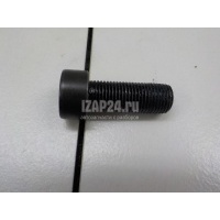 Болт маховика VAG Allroad quattro (2012 - 2019) WHT007991