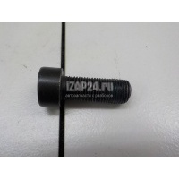 Болт маховика VAG Allroad quattro (2012 - 2019) WHT007991