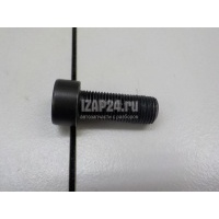 Болт маховика VAG Allroad quattro (2012 - 2019) WHT007991